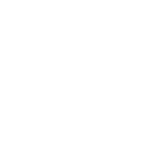 mini-icon